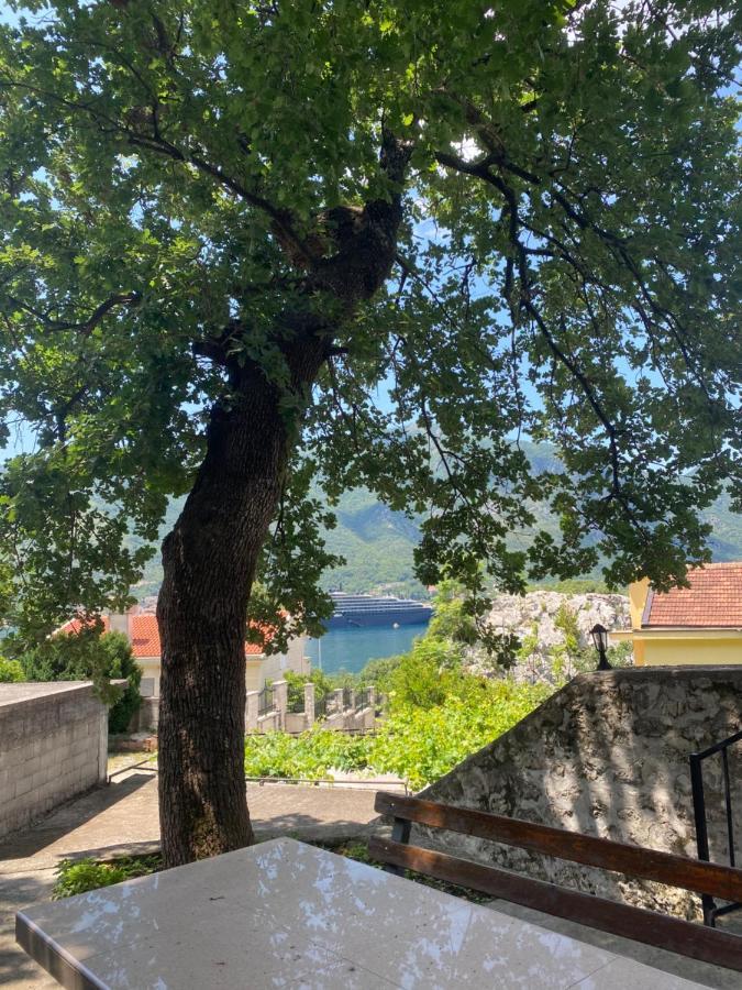 Vasiniko Apartment Kotor Eksteriør billede